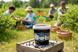 Булмед Сладко от Боровинки 1 кг – Традиционен Вкус в Удобна PVC Кофичка